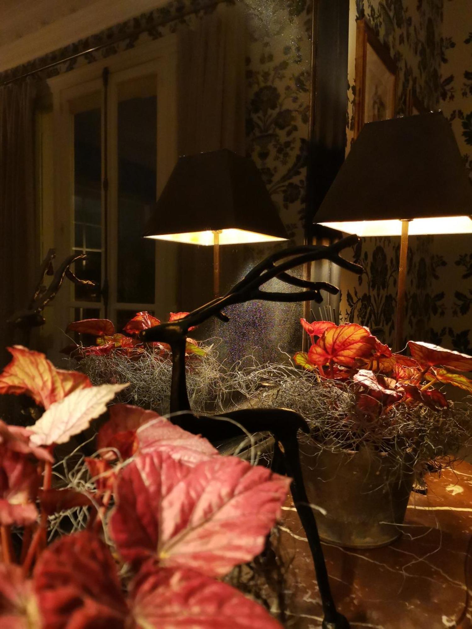 La Maison De Ville Compiègne Esterno foto